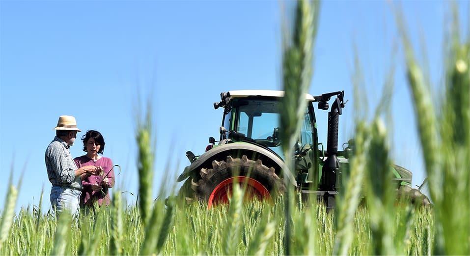 Man and woman inspecting crops standing by a tractor