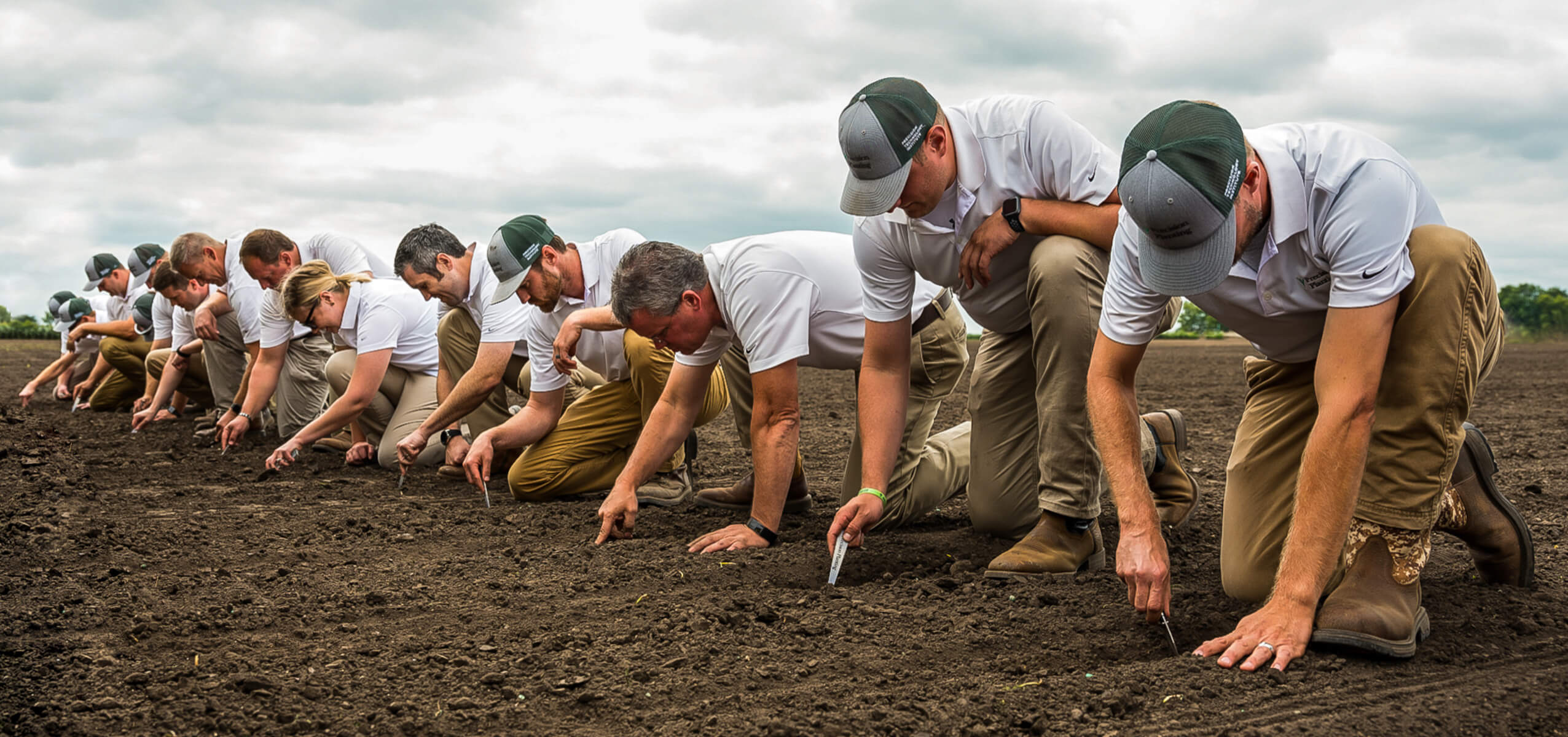 Row of people planting crops