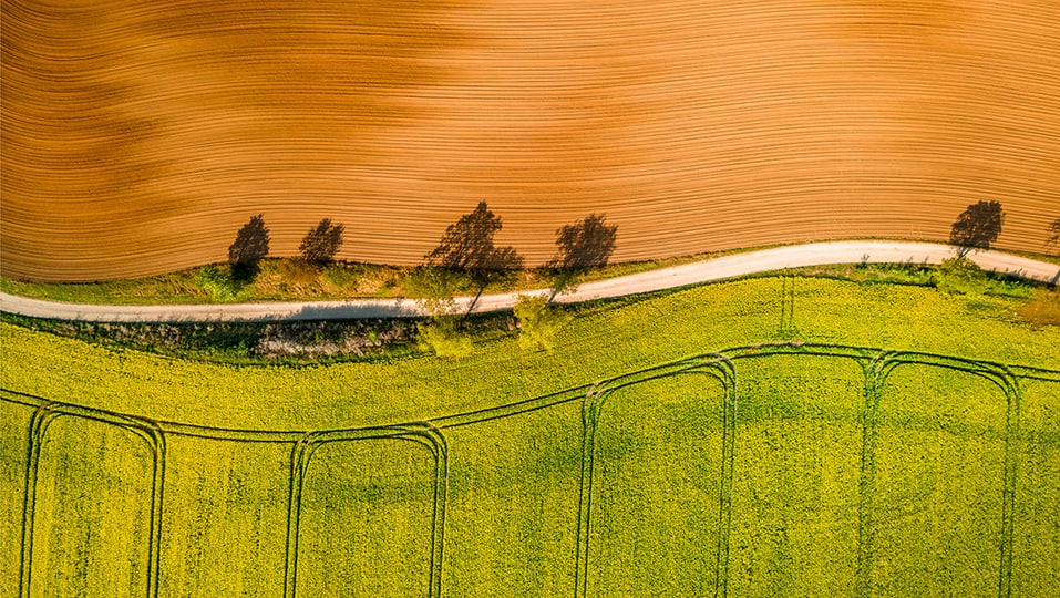 Aerial view of road on a farm